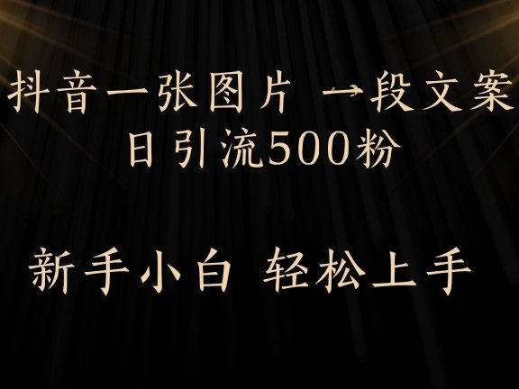 每天2分钟,抖音一张图片 一段文案日引流500粉