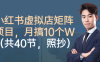 小红书虚拟店矩阵项目,月搞10W(共40节,照抄照做)