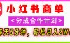 2025副业黑马曝光!0门槛小红书项目,小白也能轻松月入2万+