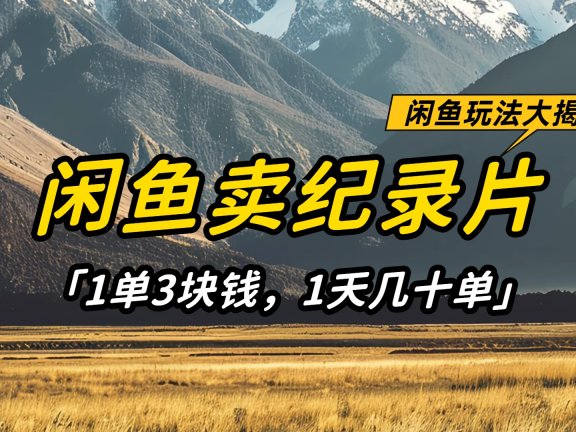 闲鱼卖纪录片1单3块钱,1天几十单,项目稳定有潜力