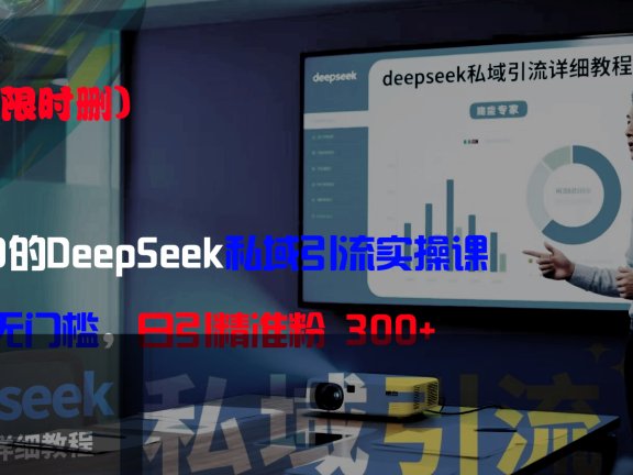 全网首发(限时删)精准打击:价值3980的DeepSeek私域引流实操课,小白实操无门槛,日引精准粉300+